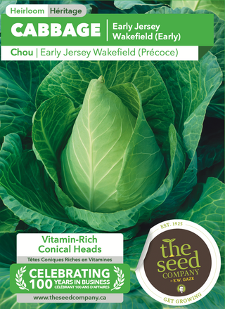 Cabbage | Early Jersey Wakefield (Early)
