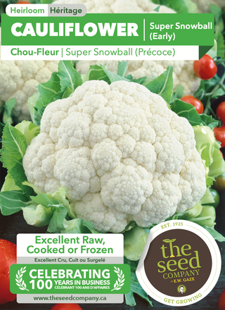 Cauliflower | Super Snowball (Early)