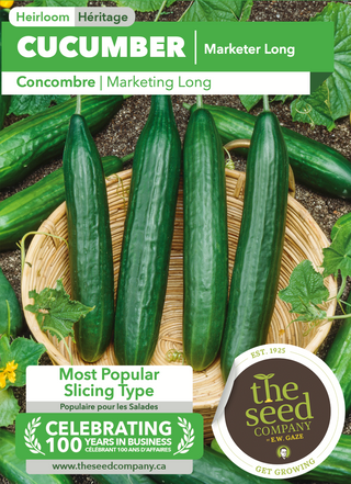 Concombre, Marketer Long