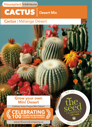 Cactus | Desert Mix