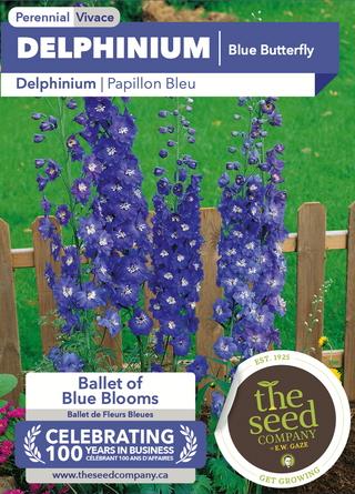 Delphinium, papillon bleu