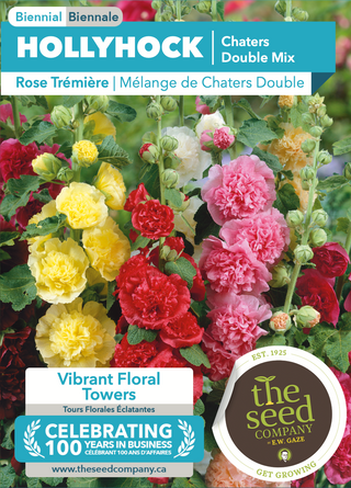 Rose Trémière, Chater's Double Mix