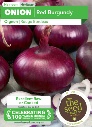 Onion | Red Burgundy