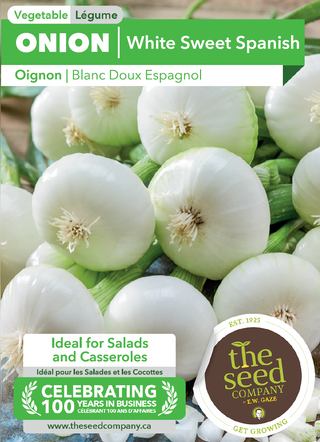 Onion | White Sweet Spanish