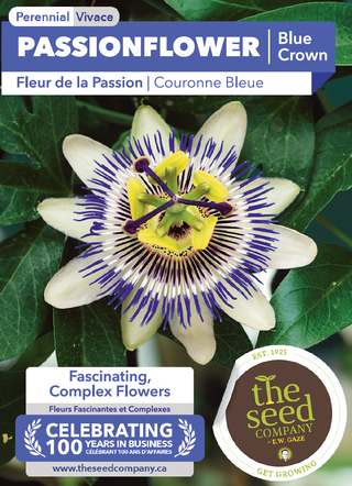 blue crown passion flower seeds Passionflower