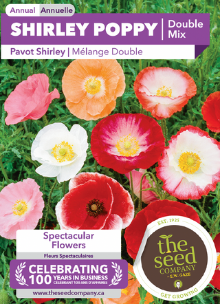 Coquelicot, Shirley Double Mix
