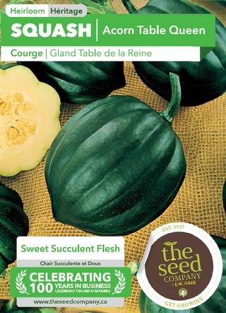 Courge, Gland Table Queen