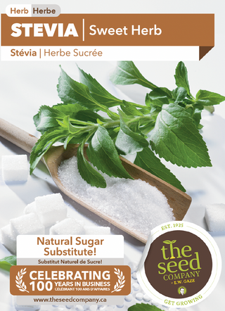 Stevia | Sweet Herb