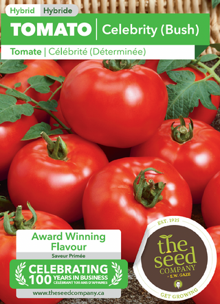 Tomate, Celebrity Hybrid Bush (10 graines)