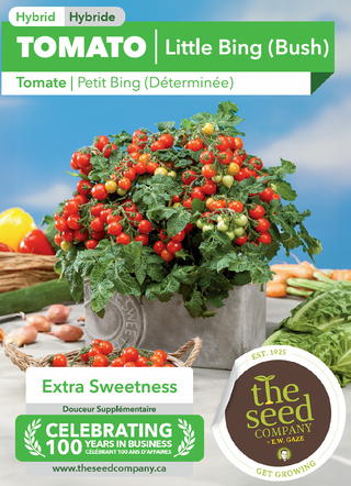 Tomato | Little Bing (Bush)
