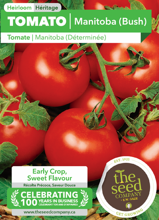 Tomato | Manitoba (Bush)
