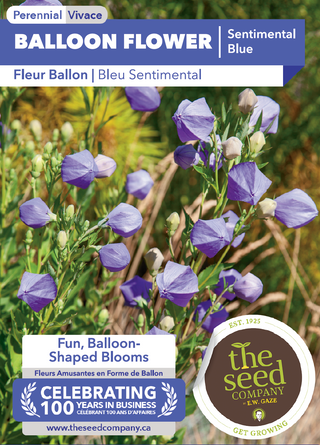 Fleur Ballon, Bleu Sentimental