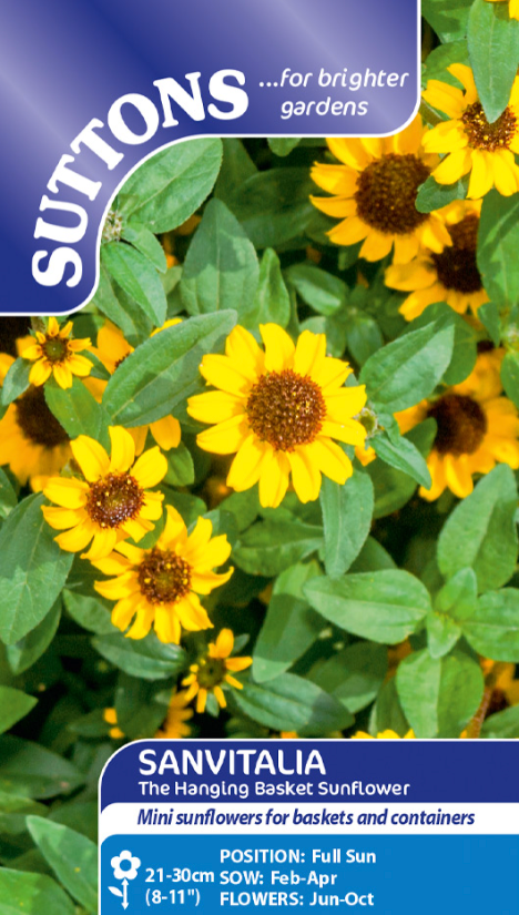 suttons flower seeds Suttons Seeds