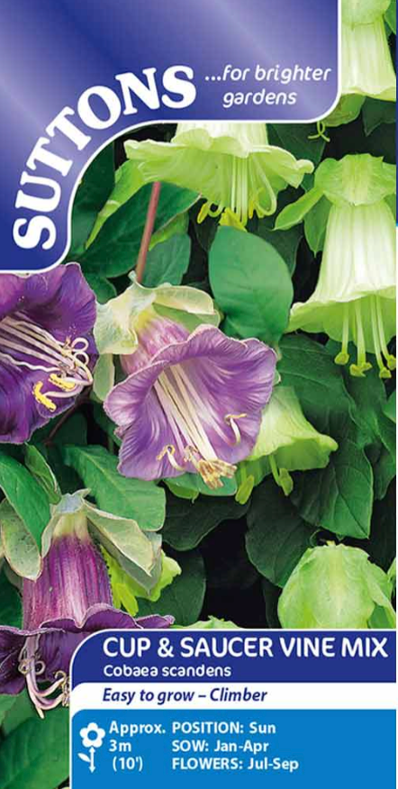 Suttons Seeds - Cup and Saucer Vine Mix Cobaea Scandens – The Seed