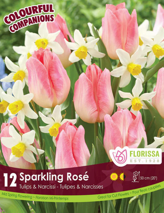 PRE-ORDER Tulip | Sparkling Rose NEW