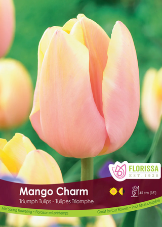 PRE-ORDER Tulip | Mango Charm