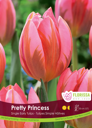 PRE-ORDER Tulip | Pretty Princess