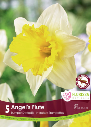 PRE-ORDER Daffodil Trumpet | Angels Flute