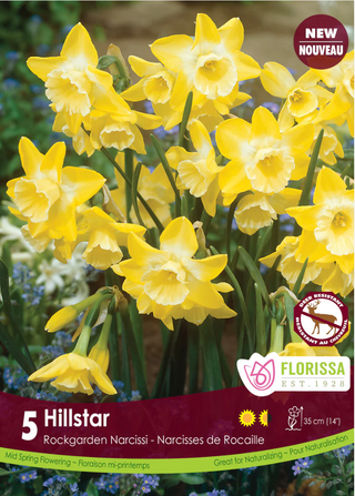 PRE-ORDER Daffodil Butterfly | Hillstar