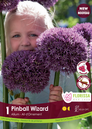 PRE-ORDER Allium | Pinball Wizard