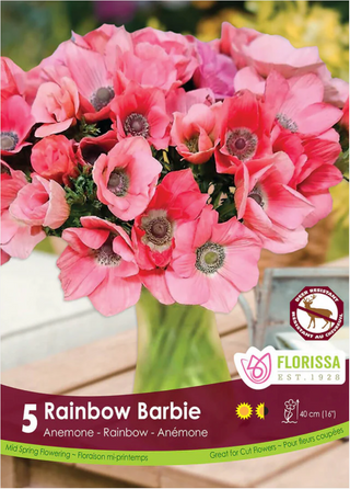 PRE-ORDER Anemone | Rainbow Barbie 5 Bulbs NEW