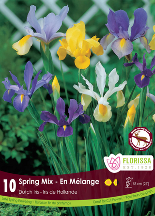 PRE-ORDER Iris | Dutch Spring Mixed