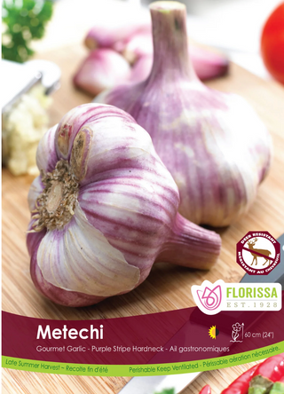 PRE-ORDER Fall Garlic | Metechi