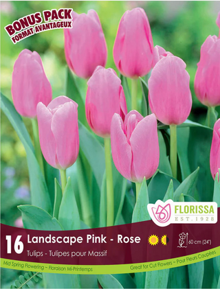 PRE-ORDER Tulip Landscape | Pink