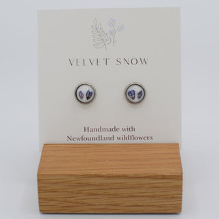 Stud Earrings | Forget Me Not | Small, Round | Stainless Steel