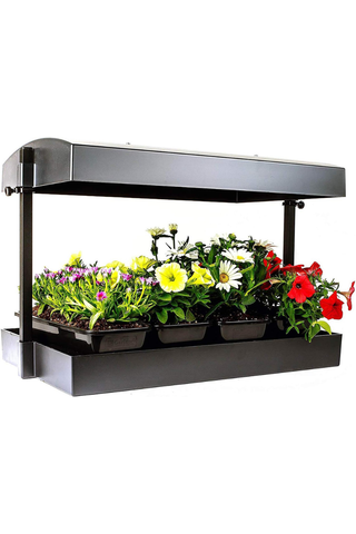 Metal plant stand with flowers on a white background