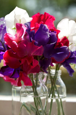 Bouquet of colorful flowers in clear glass bottles with a blurred outdoor background.
