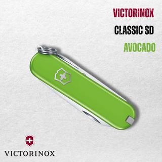 Green Victorinox Classic SD pocket knife on a light gray background