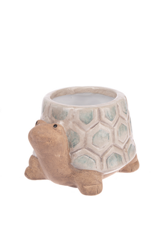 Turtle & Snail Planter