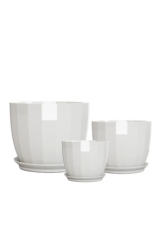 Linnie pot round small