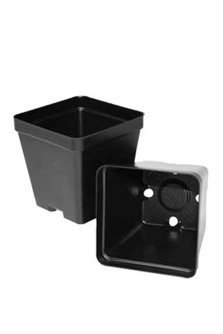 Nursery Pots (Square)