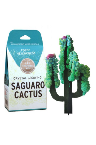 Crystal Growing Kit: Saguaro Cactus