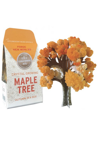 Crystal Growing Kit: MAPLE TREE