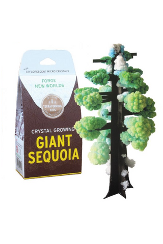 Crystal Growing Kit: Giant Sequoia