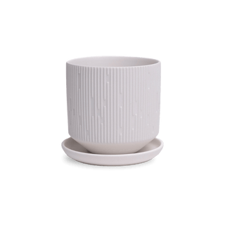 Virago Porcelain Pot and Saucer - White C, 3.5 in