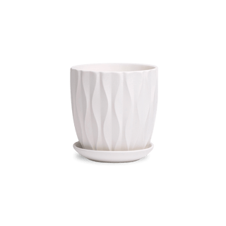 Virago Porcelain Pot and Saucer - White E, 3.5 in