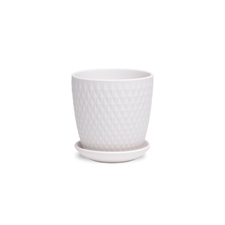 Virago Porcelain Pot and Saucer - White H, 3.5 in