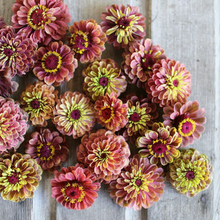 Colorful flowers arranged on a wooden surface
