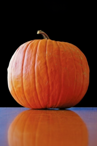Orange pumpkin on a reflective surface with a black background