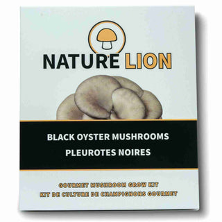 Mushroom Kit | Black Oyster