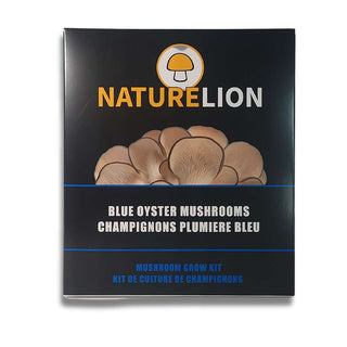Mushroom Kit | Blue Oyster