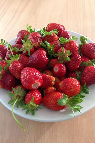 Strawberry | Brunswick | 25pk