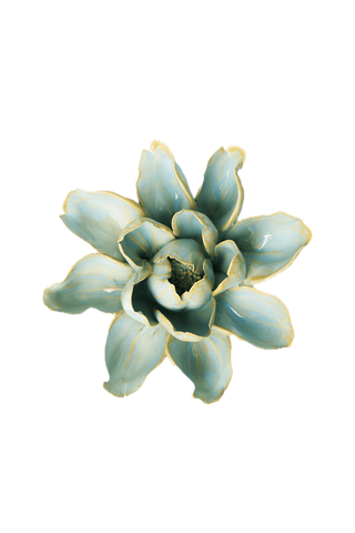 Robin's Egg Blue Aurora Water Lily Ceramic Wall Flower