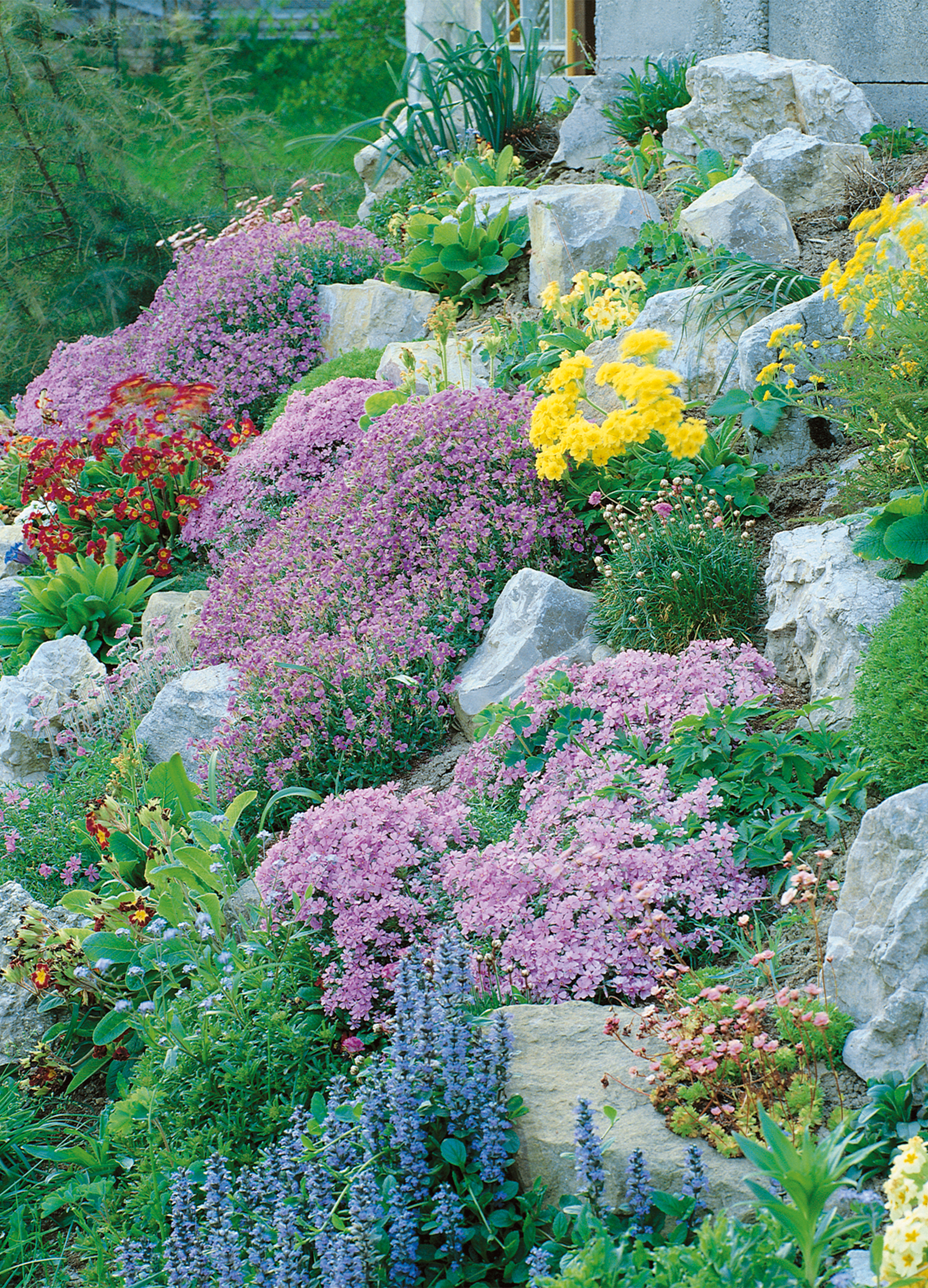 rock garden seed mix Rock Garden