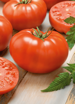 Tomato | Beefsteak (Bush)
