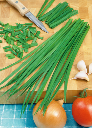 Chives | Garlic